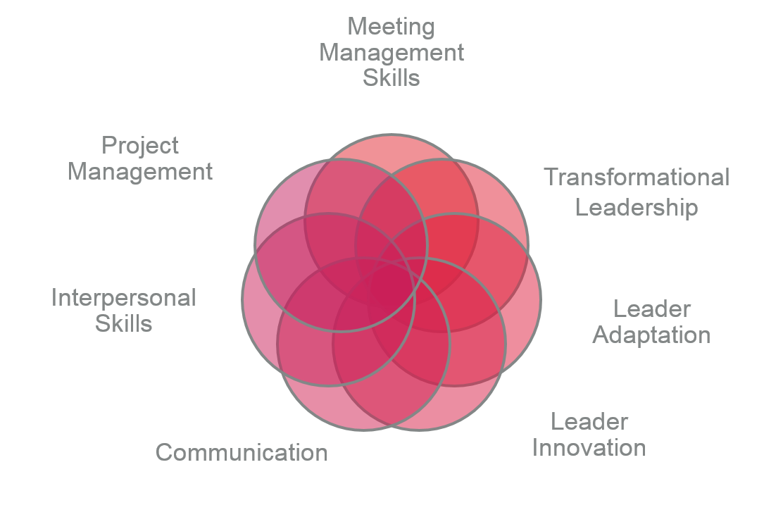 UTMB Team Leader Competency Model: The 